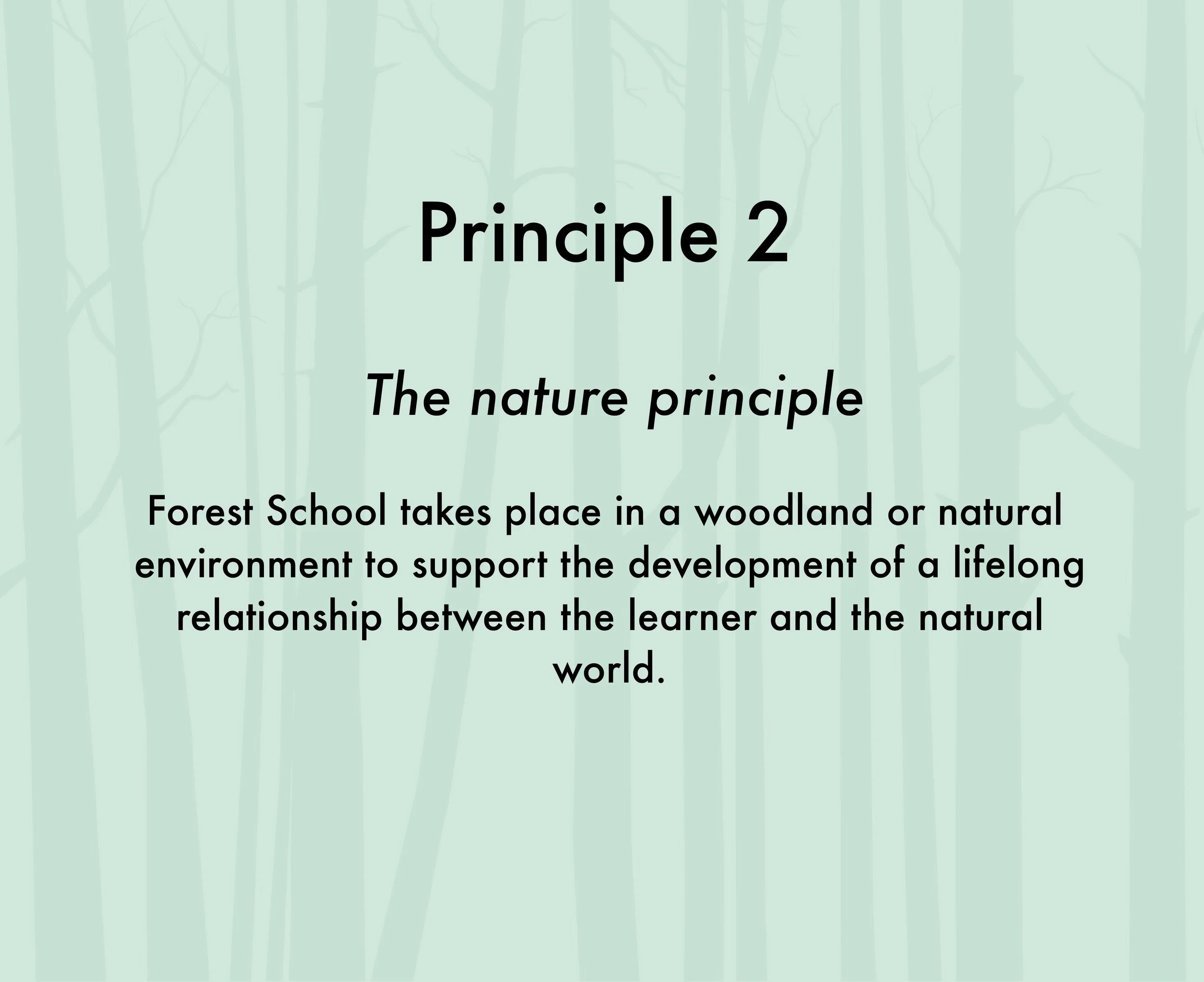 The Forest School Principles Wildwood Nature School The forest school principles wildwood nature school