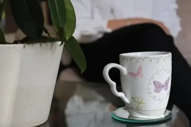 Tasse de café plante verte