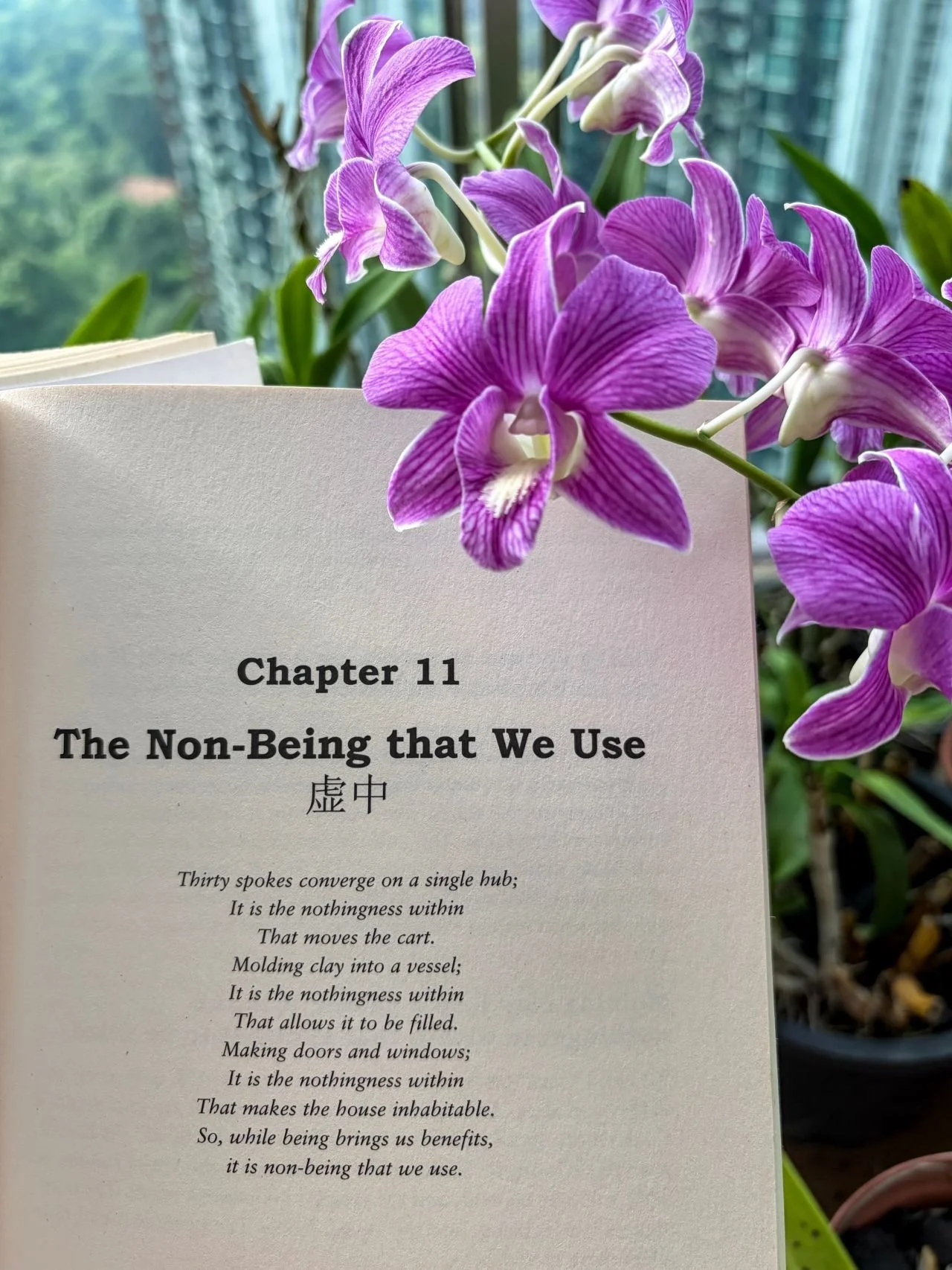 “Non-Being” in Daoism