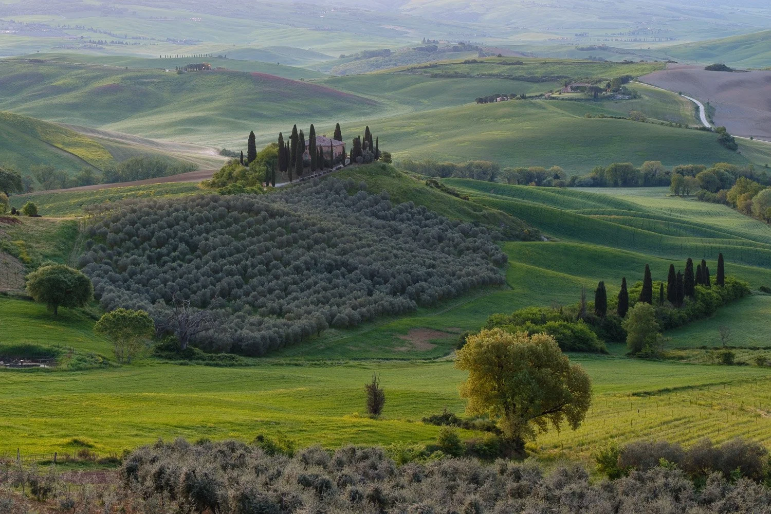 Telephoto landscape image of the Tuscany countryside showing layered hills and fields before direct sunrise light reached the scene.
