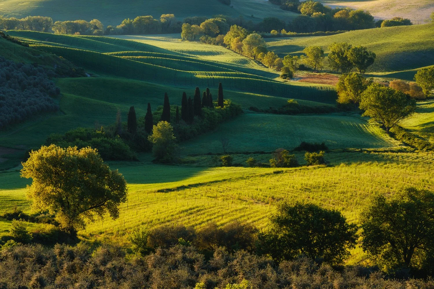 Telephoto landscape photograph of Val d’Orcia at sunrise, showing layered green hills, cypress trees, and soft side light creating depth across the landscape.