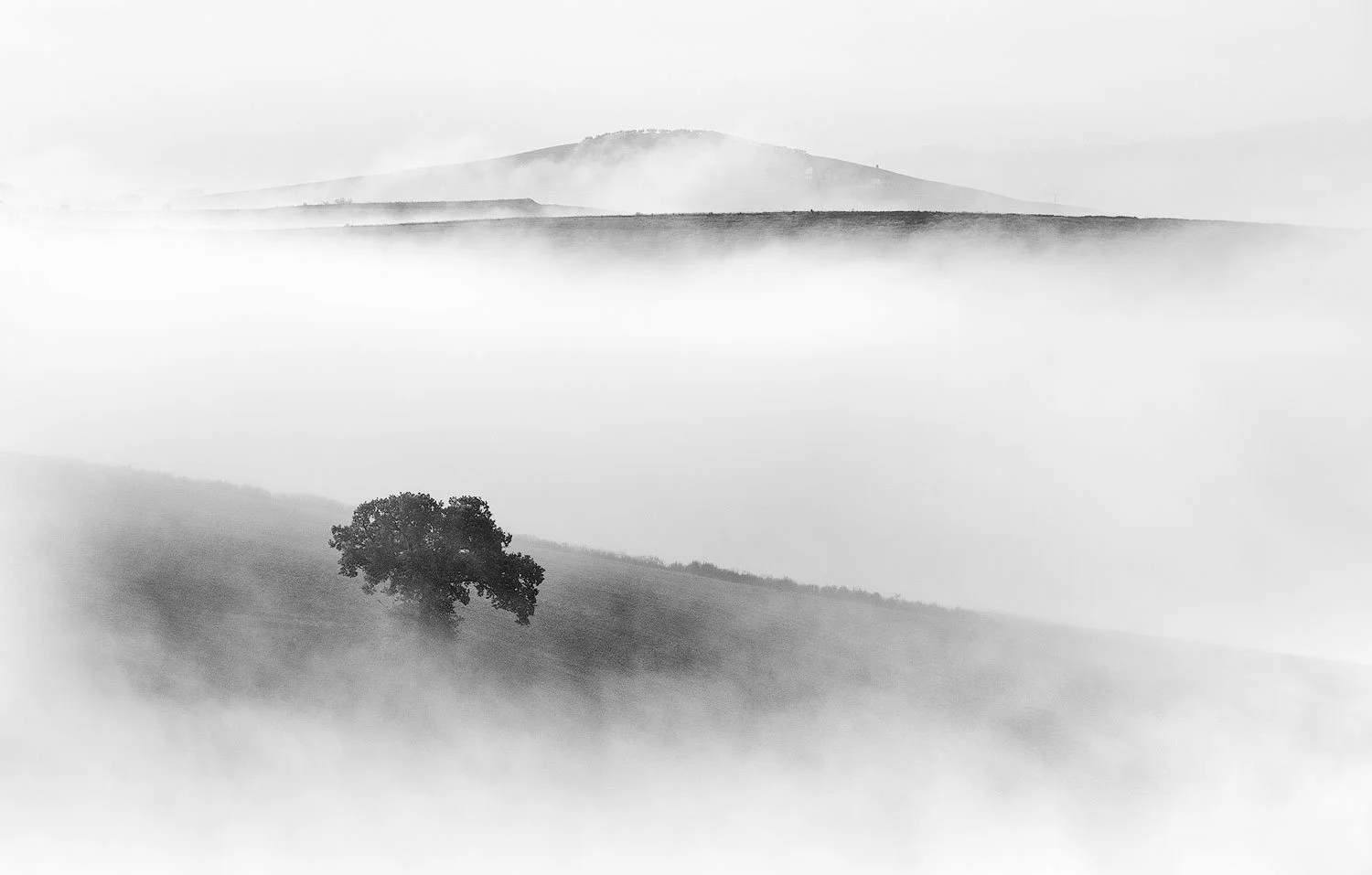 Rolling hills and a lonely tree in tuscany in spring. Photographed with a fujifilm xt4 and fujinon 50-140mm. Black and white conversion in Lightroom.