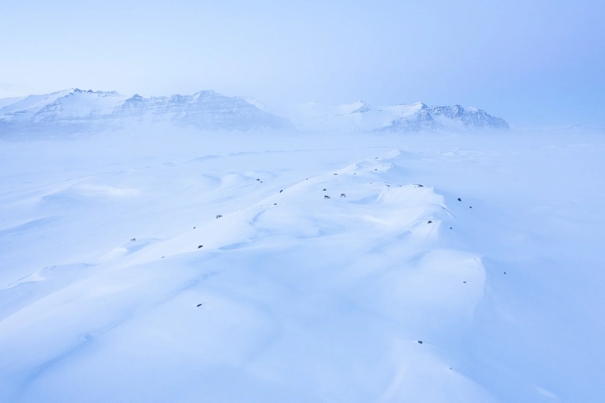 before-expedition-glacier04.jpg