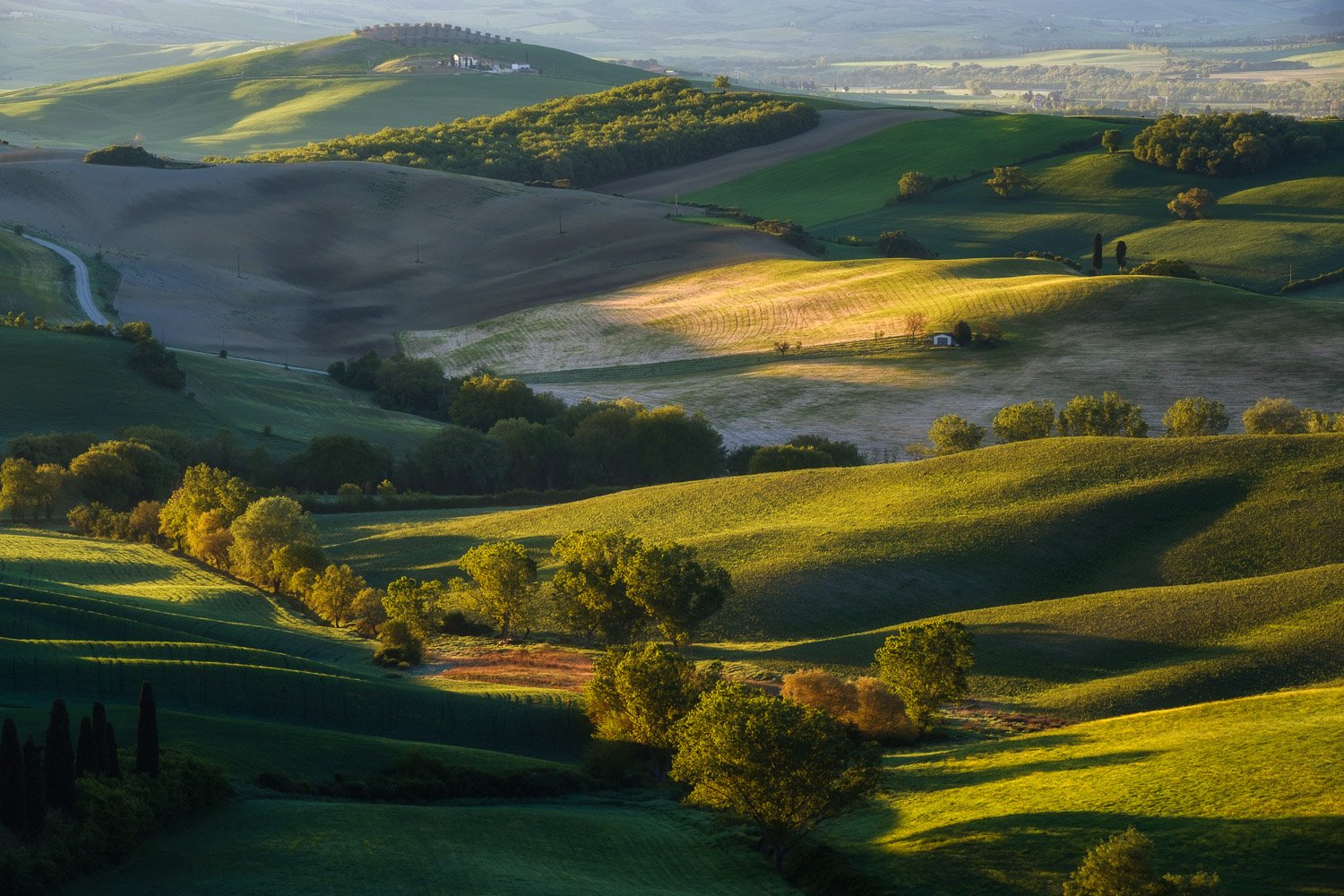 Rolling hills in Val d’Orcia photographed in dramatic golden morning light with strong contrast and layered depth.