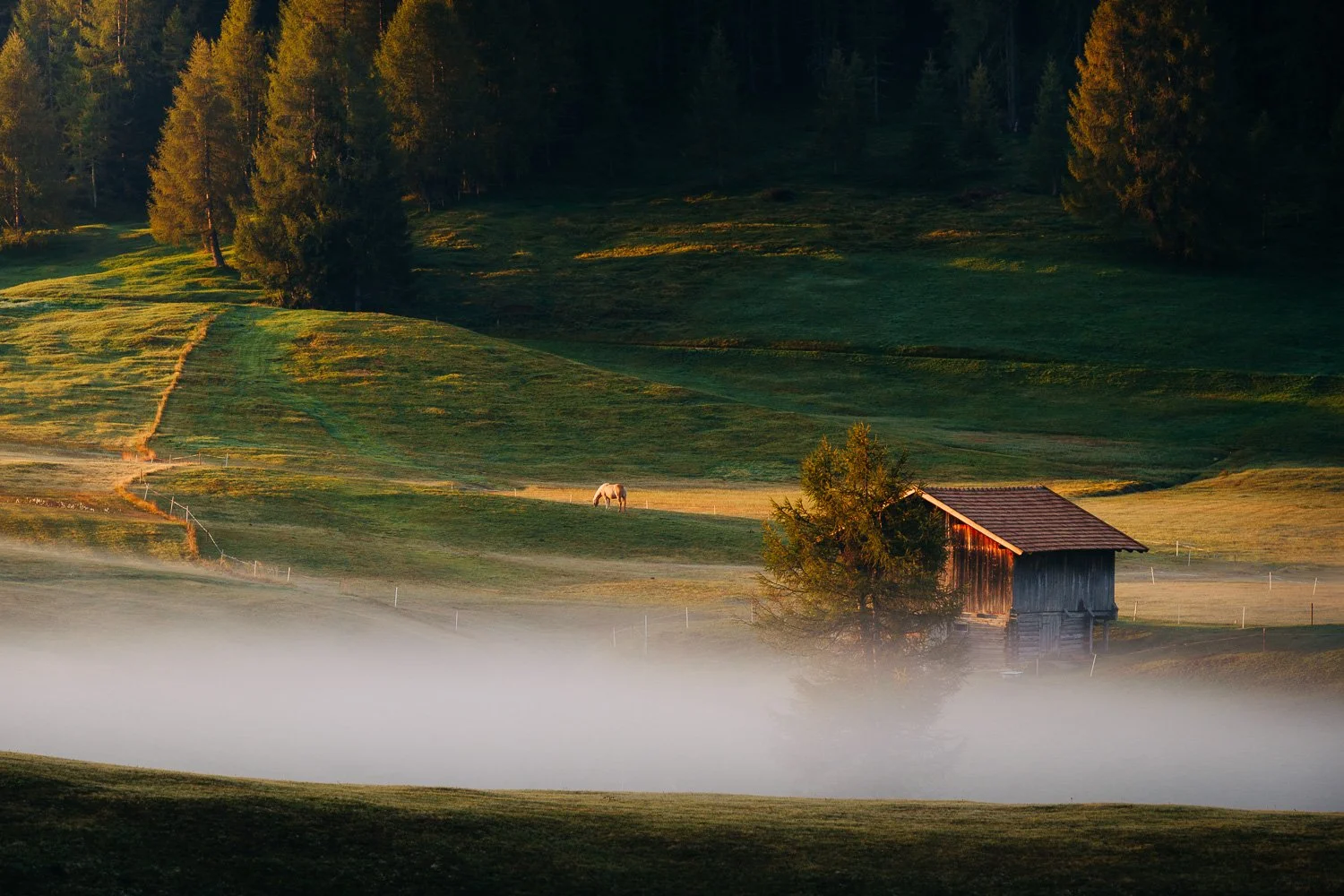 What Is Every Element in Your Photograph Doing?