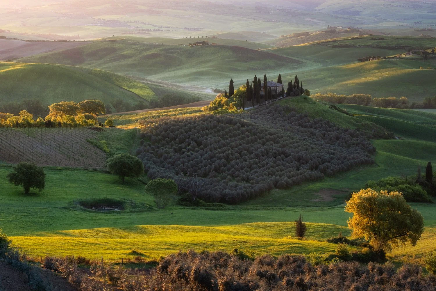 Podere Belvedere farmhouse illuminated by soft golden sunrise light in the rolling hills of Tuscany.