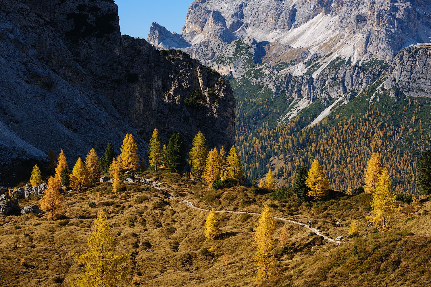 dolomites in autumn scene with tree lit by direct light