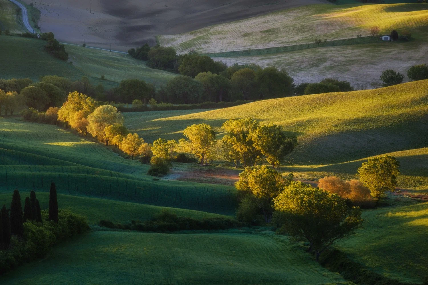 Telephoto landscape photograph of rolling hills in Tuscany illuminated by the first warm sunrise light, with glowing trees, deep shadows, and layered green fields creating depth across the scene.