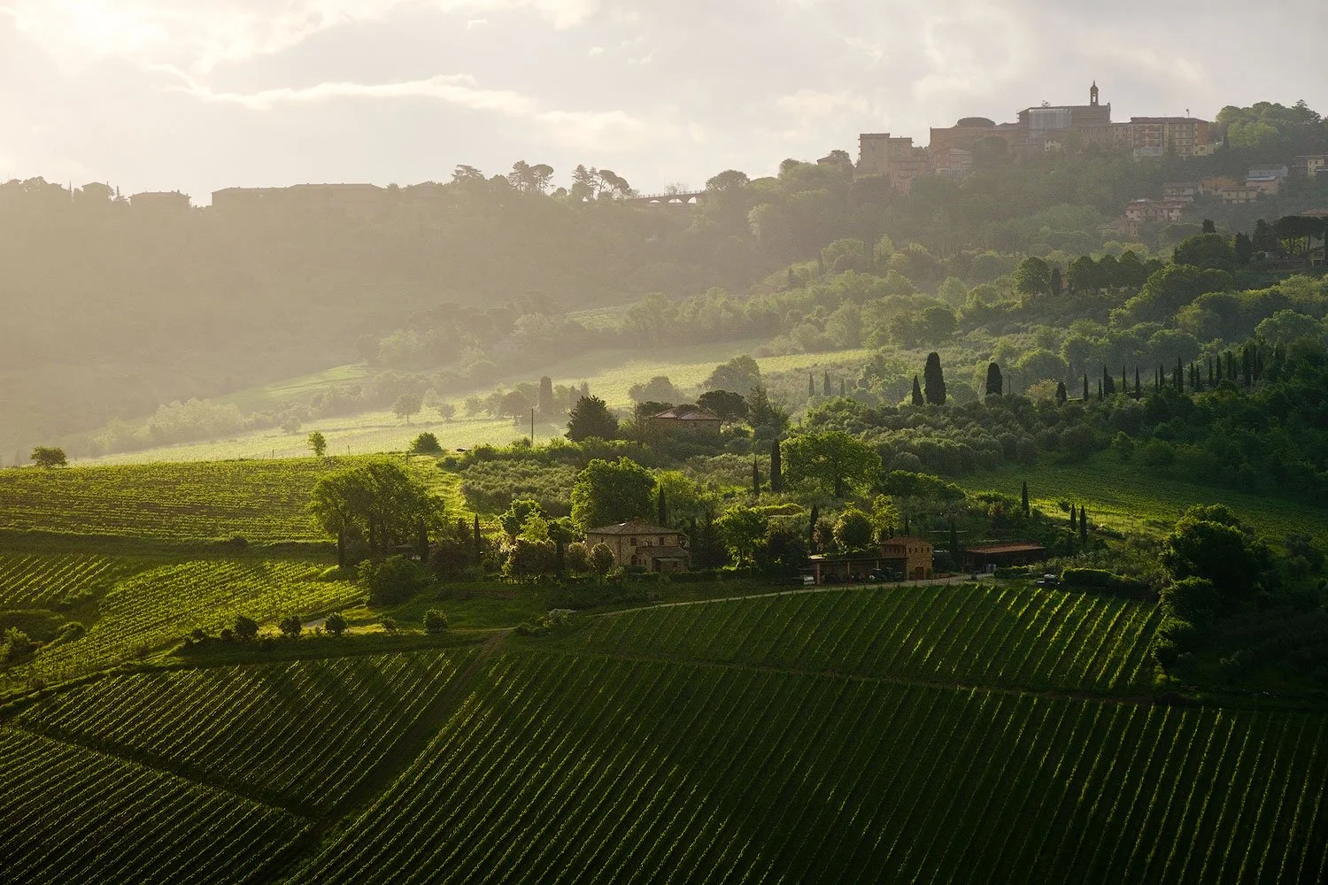 tuscany-ws01.jpg