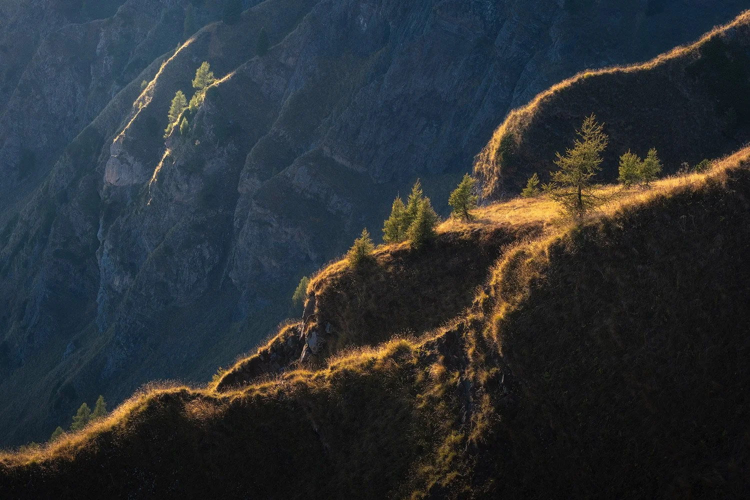 Evening light tracing grassy ridges and scattered larches against a shaded mountainside at Passo Giau.