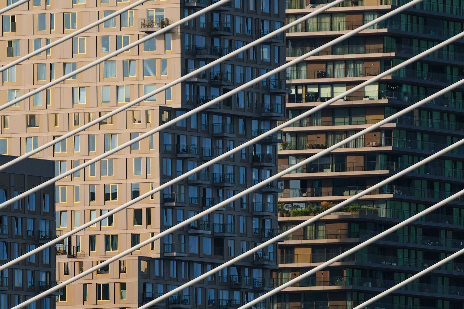 Telephoto view of Rotterdam apartment façades crossed by the diagonal cables of the Erasmus Bridge.