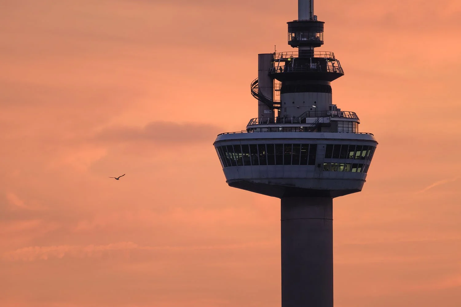 Telephoto close-up of the Euromast observation deck and antenna with a bird crossing the sunset sky.