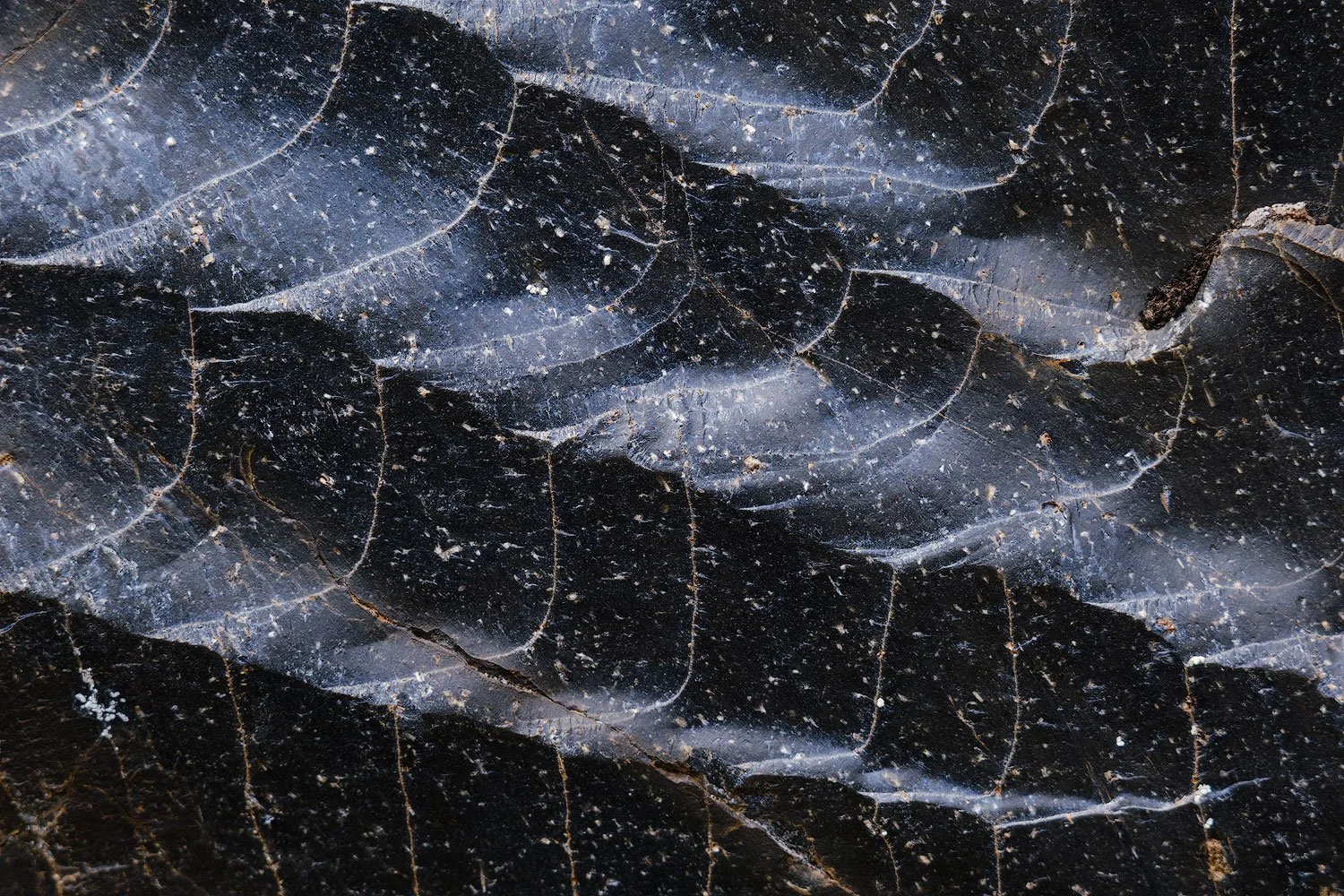 A close up of an obsidian rock in landmannalaugar. Photographed with the sigma 100-400mm