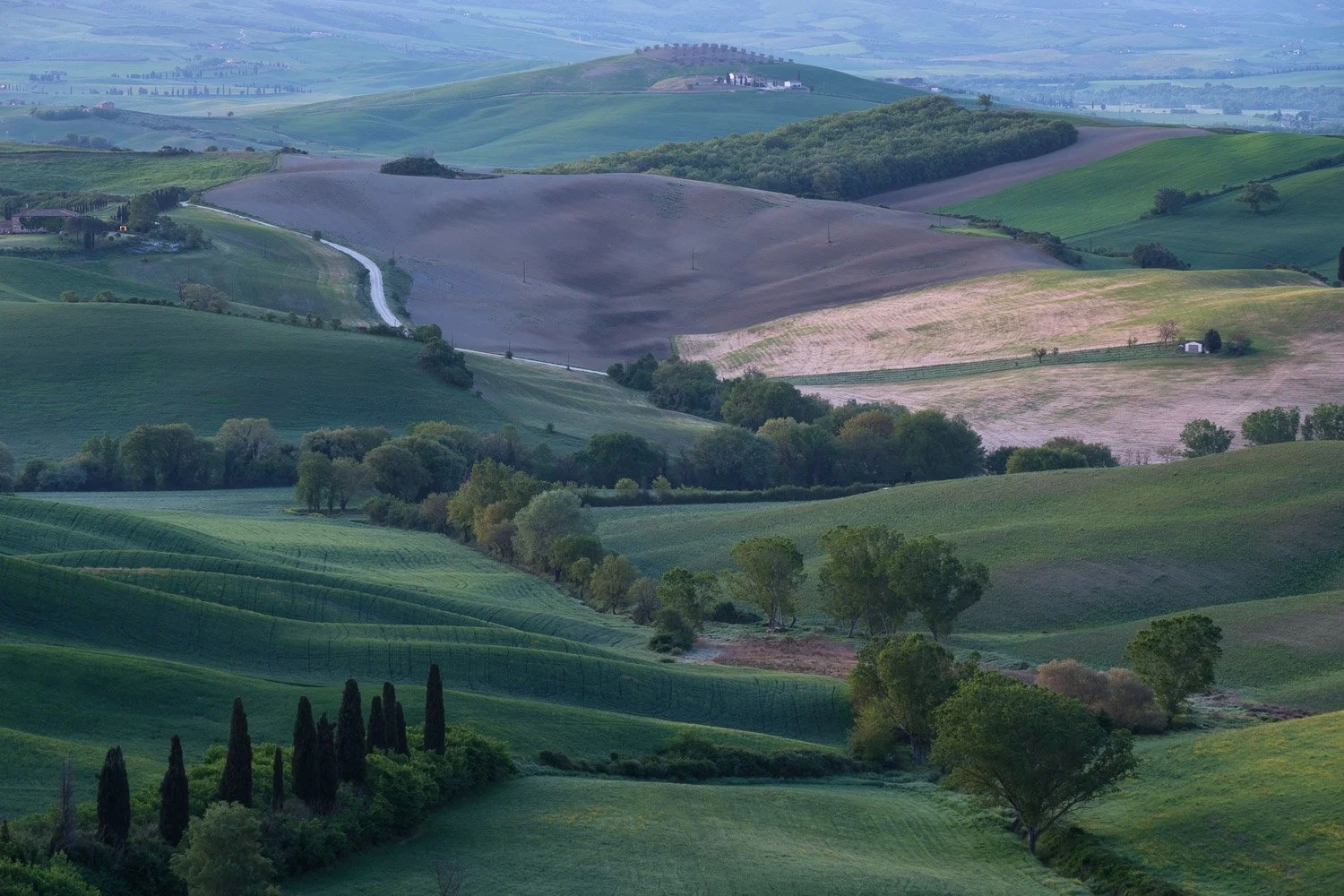 Rolling hills and cypress trees in Val d’Orcia, Tuscany, photographed in cool blue pre-sunrise light before golden hour.
