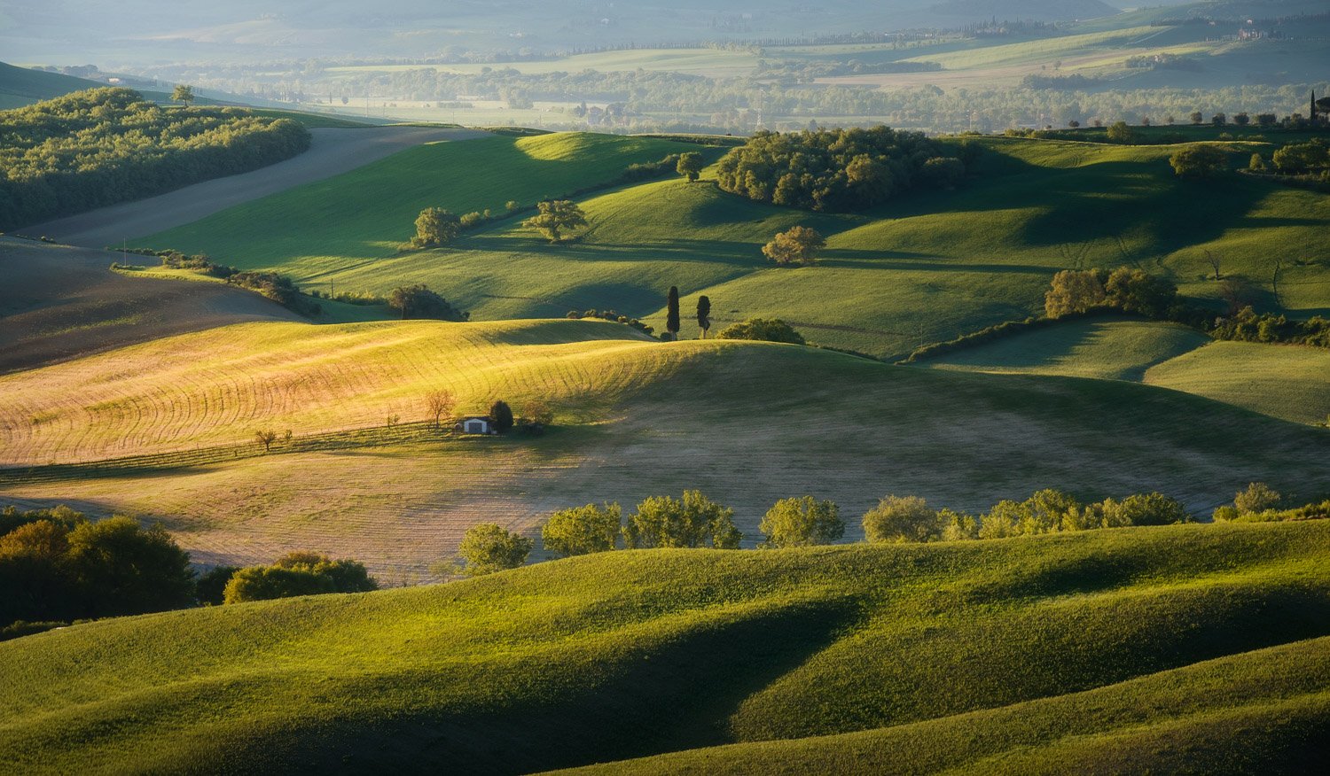 Rolling hills in Tuscany illuminated by early morning directional light, with long shadows, scattered trees, and two cypress trees standing on a ridge.