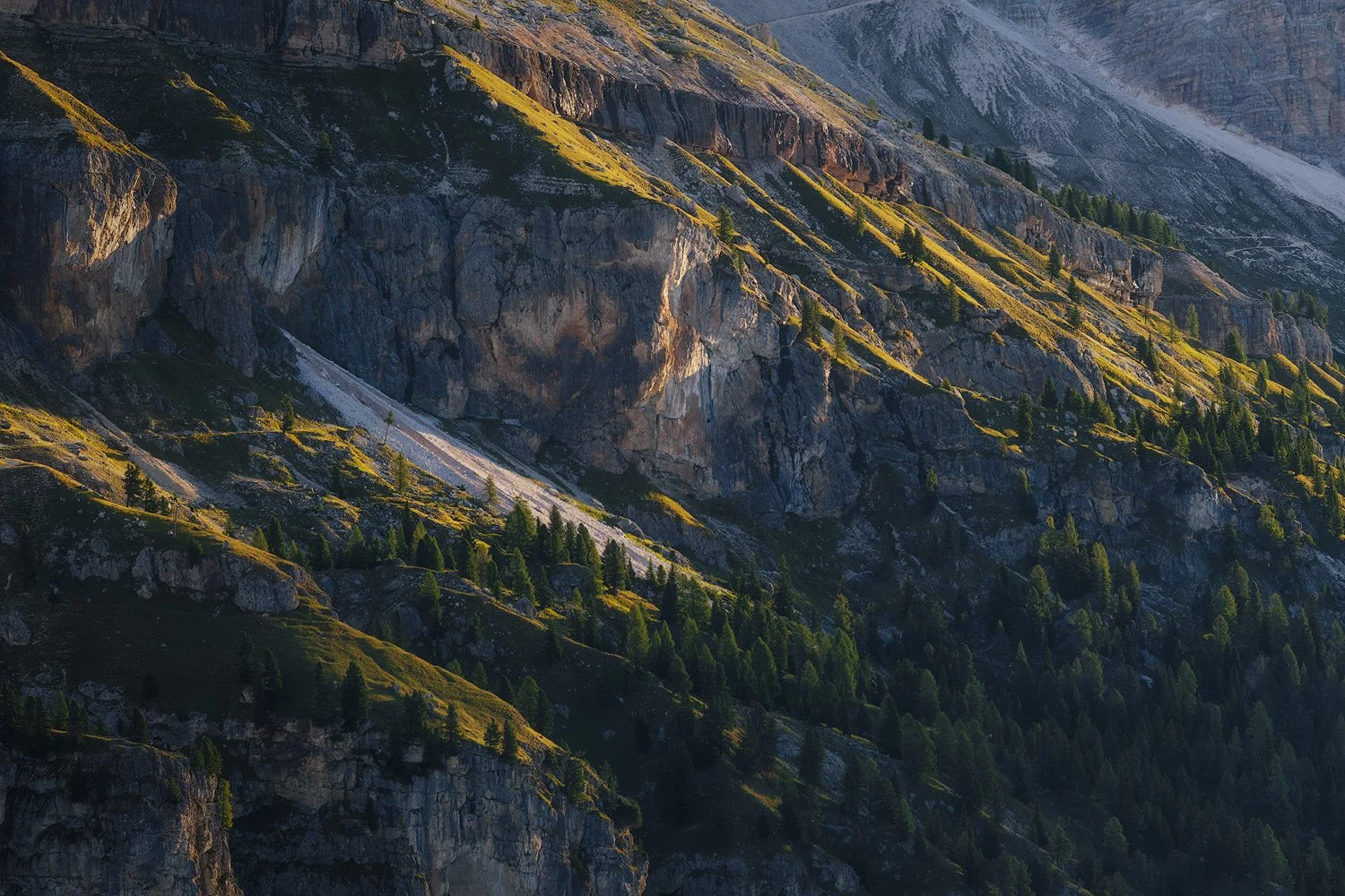 Side light tracing rock faces and grassy slopes on the Tofane in the Dolomites.
