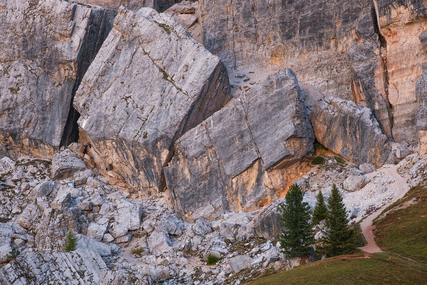 Fractured rock faces above a small group of conifers at Cinque Torri, photographed as an intimate landscape composition.