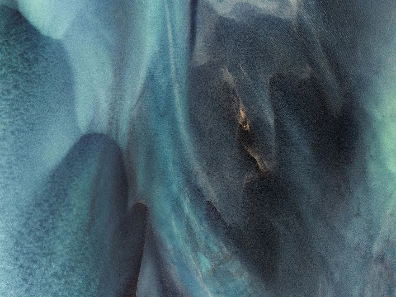 Close-up of a dark, animal's face, possibly a dog's face, with a focus on the eye and surrounding fur.