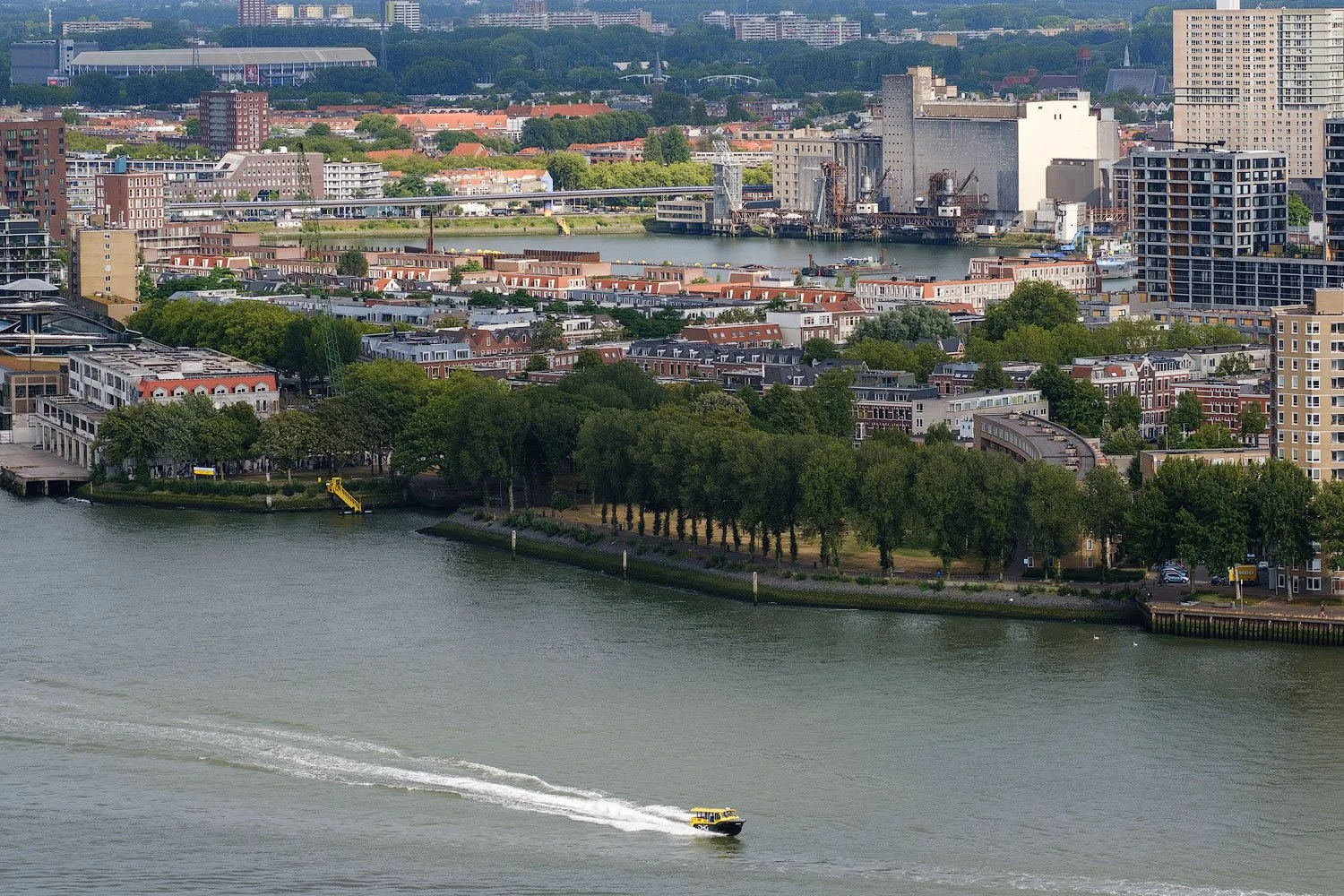 Yellow Rotterdam water taxi leaving a white wake across the Nieuwe Maas, viewed from the Euromast.