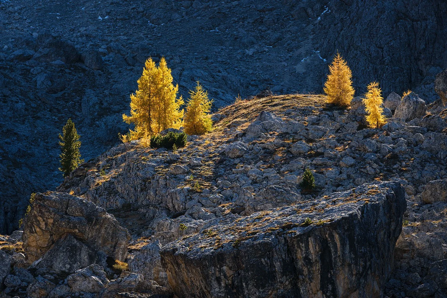 dolomites in autumn scene with tree lit by direct light