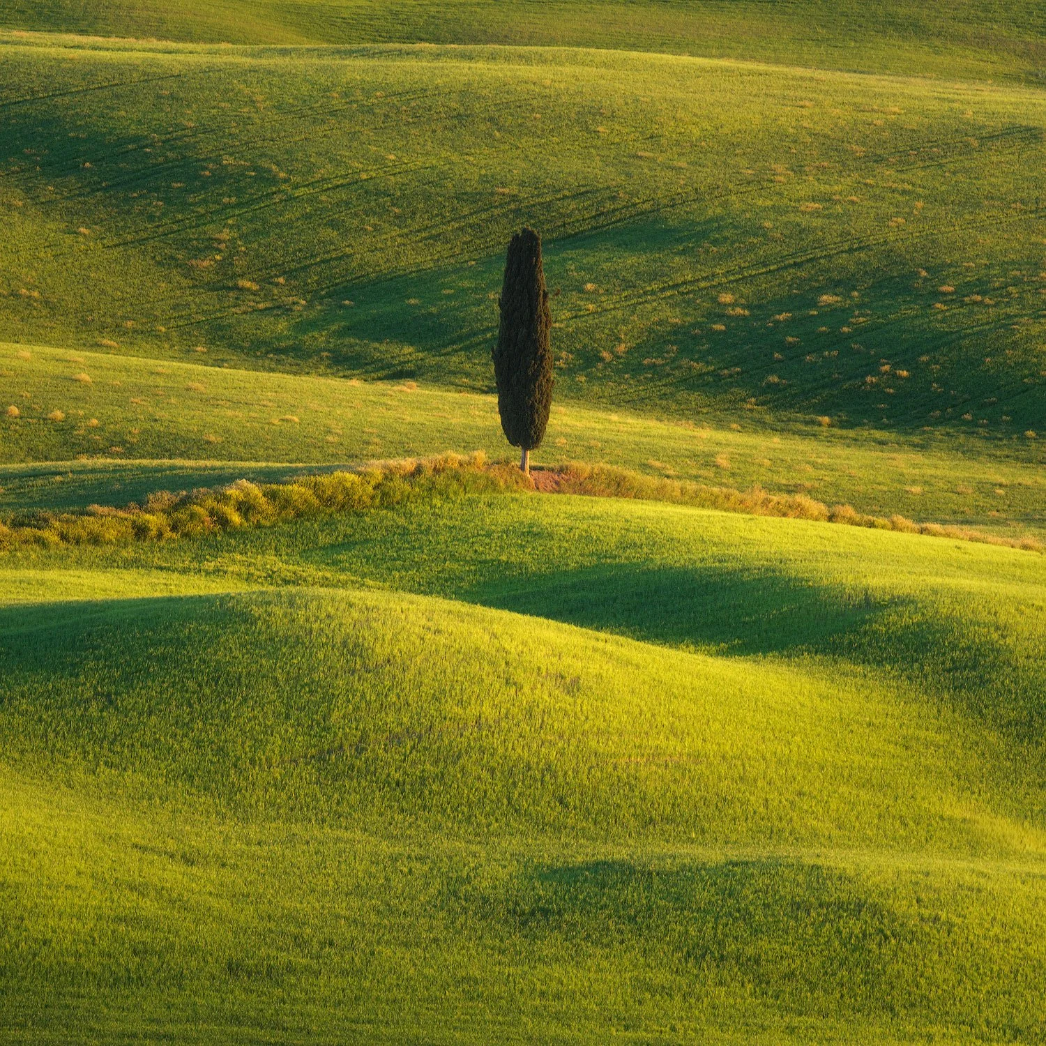 tuscany workshop the gladiator rolling hills during the sunset