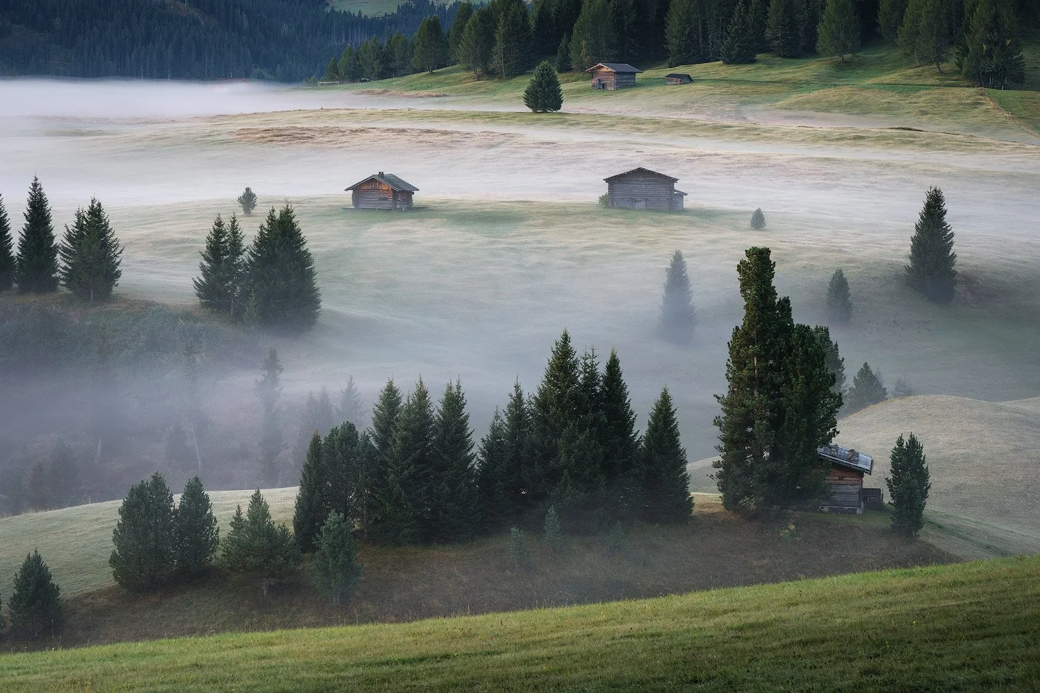 Morning mist drifting between wooden huts, rolling meadows, and pine trees at Alpe di Siusi.