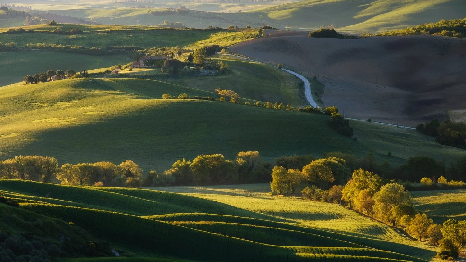 Golden morning light shaping rolling hills and trees in Tuscany with layered shadows and atmospheric depth.