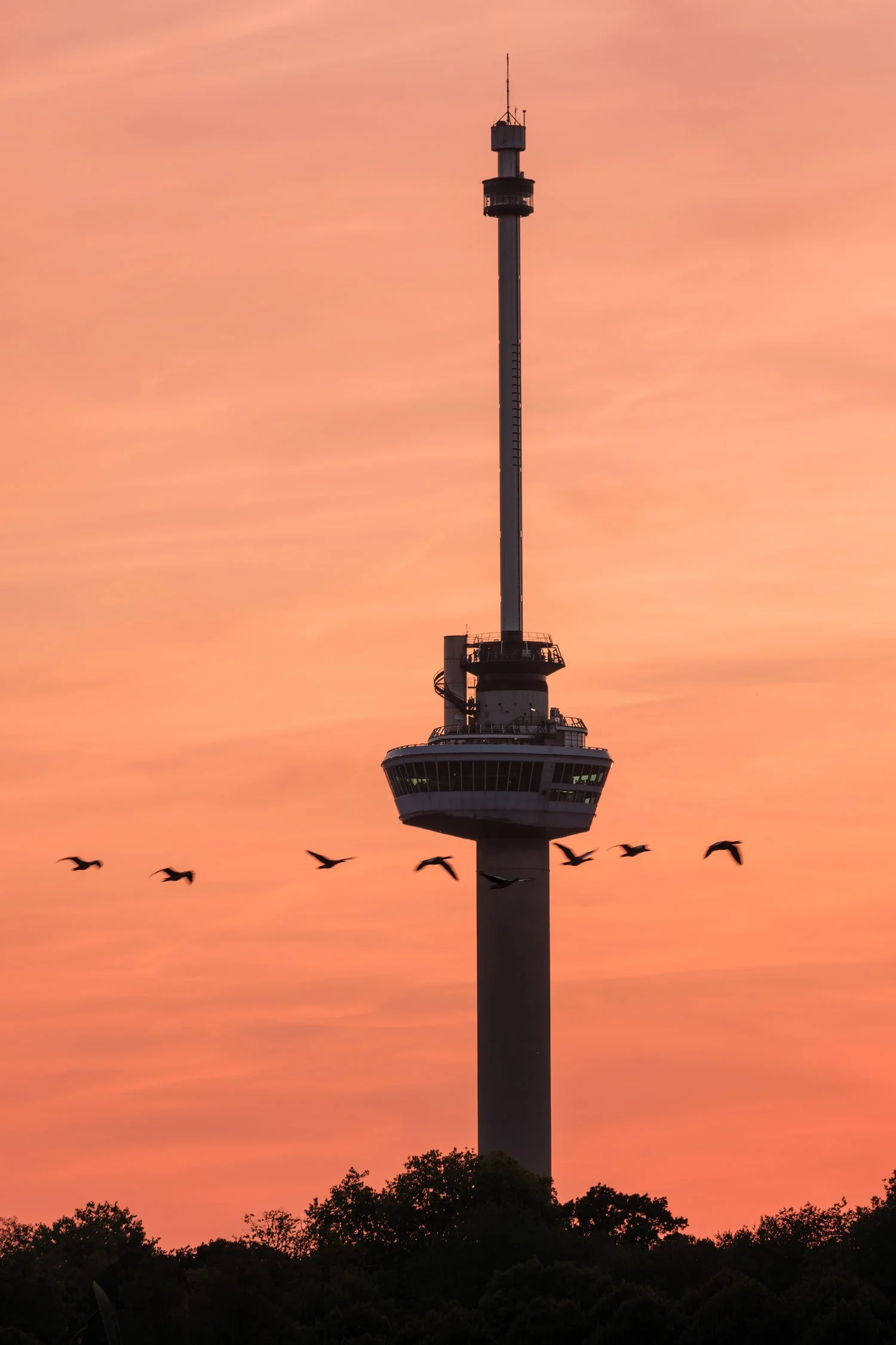 Euromast silhouetted against an orange Rotterdam sunset as a line of birds passes beneath the observation deck.