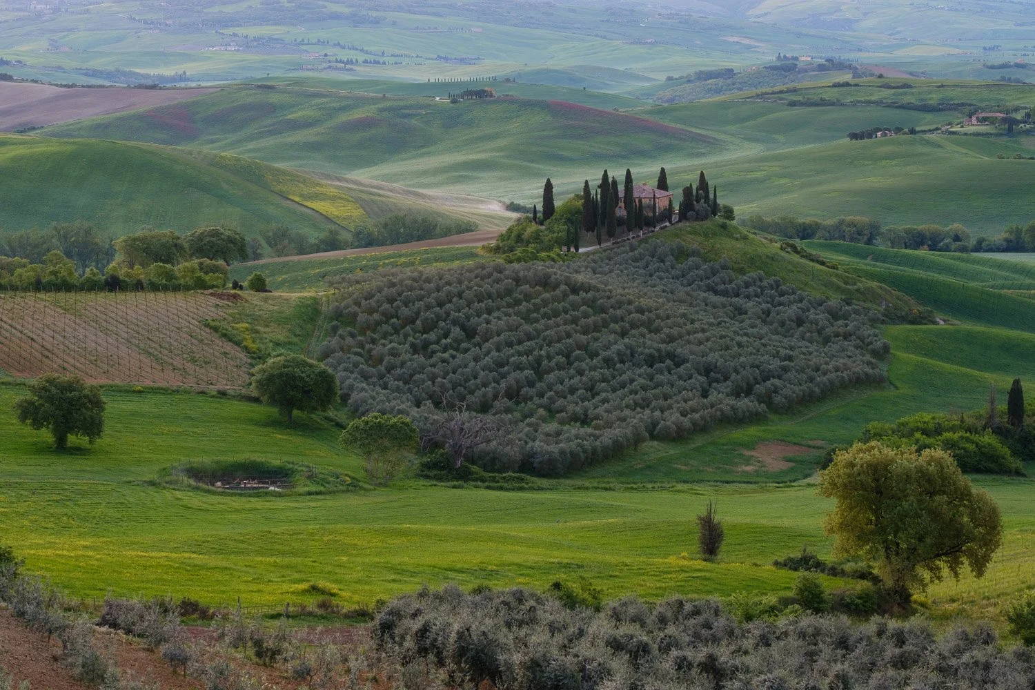 Telephoto landscape image of the Tuscany countryside showing layered hills and fields before direct sunrise light reached the scene.