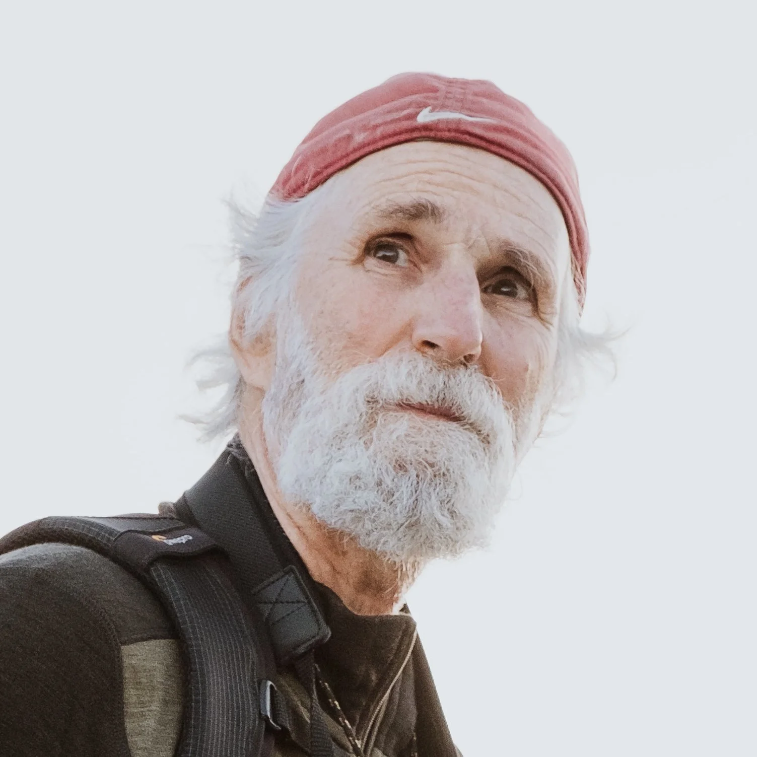 david workshop guest