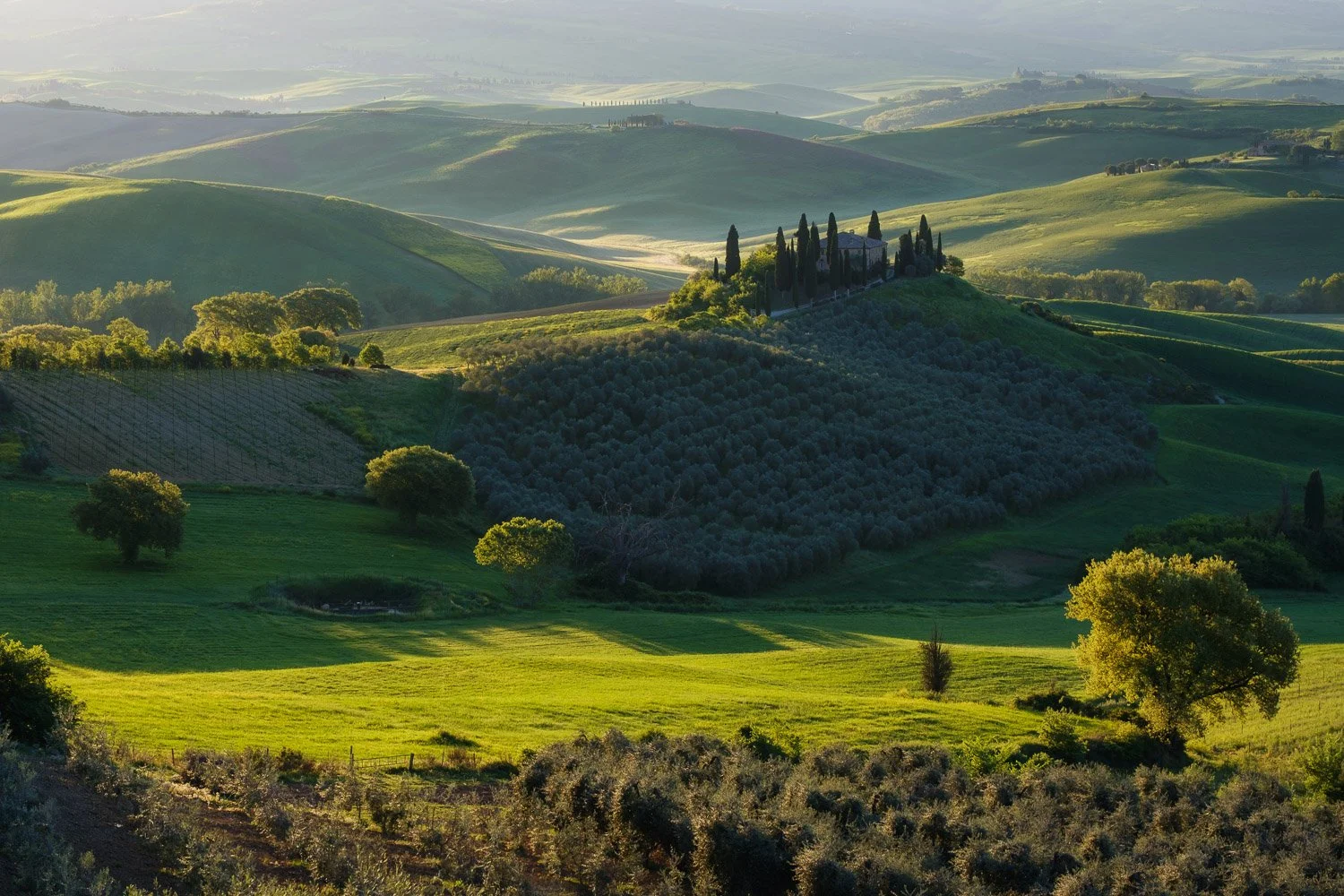 Telephoto photograph of Podere Belvedere farmhouse surrounded by cypress trees in warm directional sunrise light.