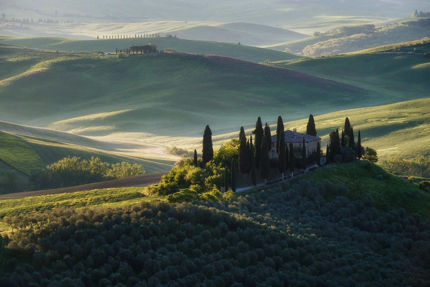 Telephoto photograph of Podere Belvedere farmhouse surrounded by cypress trees in warm directional sunrise light.