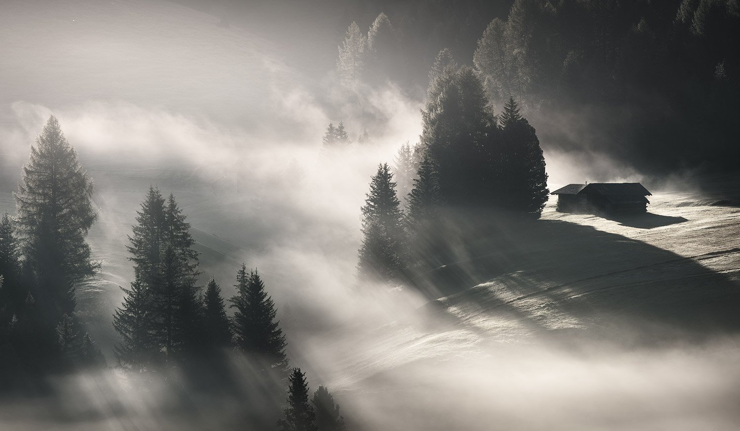 Sunlight streaming through morning mist around pine trees and a small hut at Alpe di Siusi.