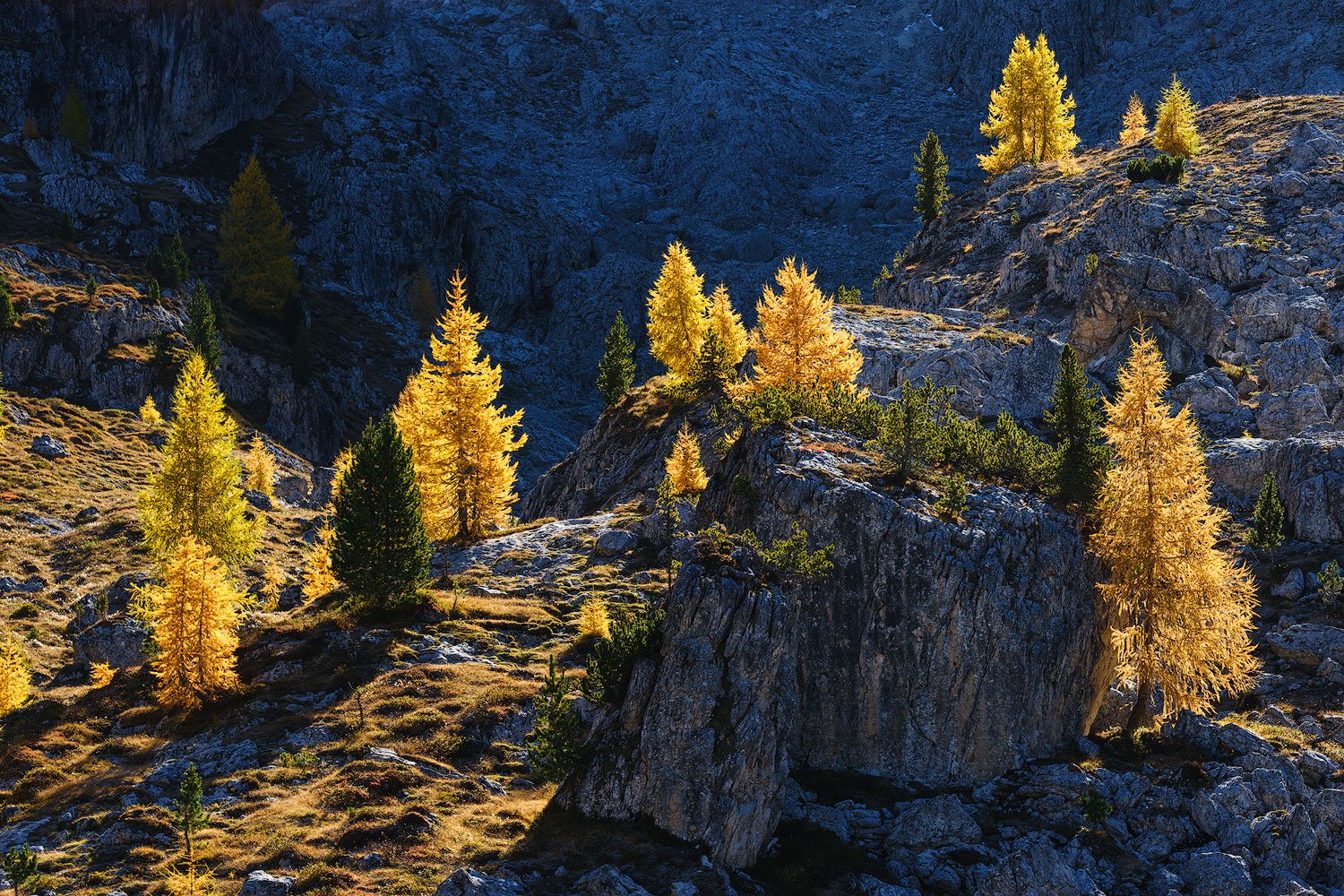 dolomites in autumn scene with tree lit by direct light
