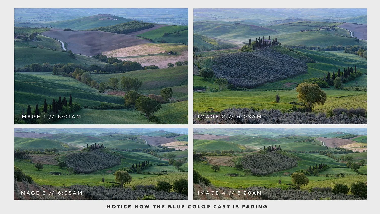 Four-image comparison showing the changing light in Tuscany between 6:01 AM and 6:20 AM, highlighting how the blue color cast gradually fades before sunrise.