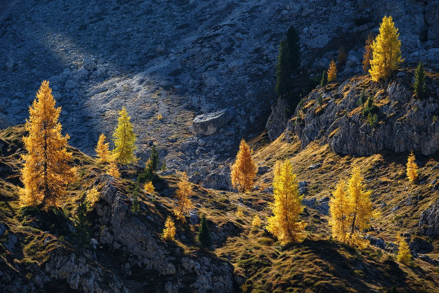dolomites in autumn scene with tree lit by direct light