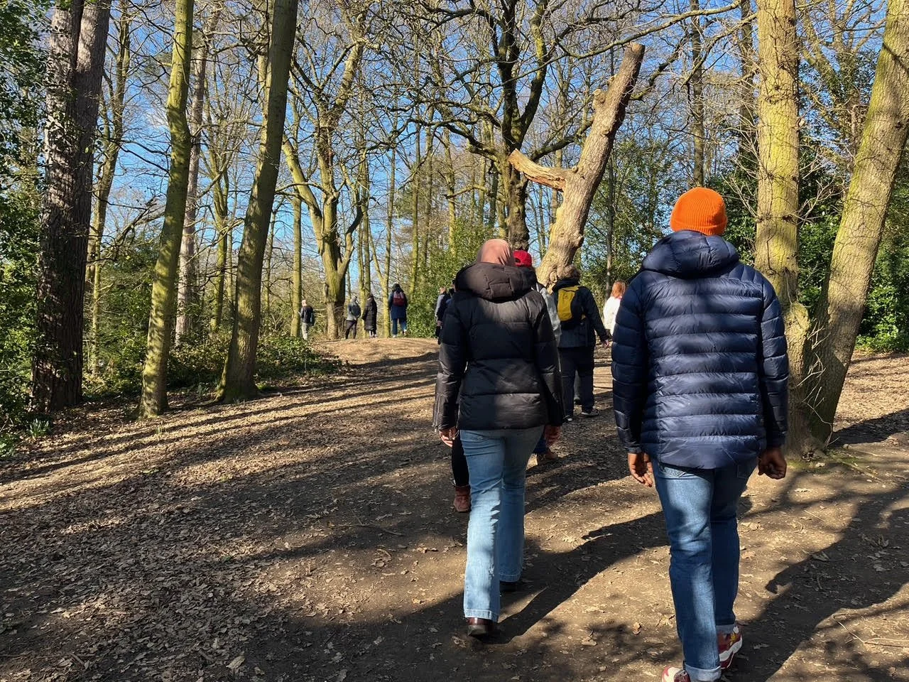 Nourish &amp; Glow: Forest Bathing &amp; Sauna Experience