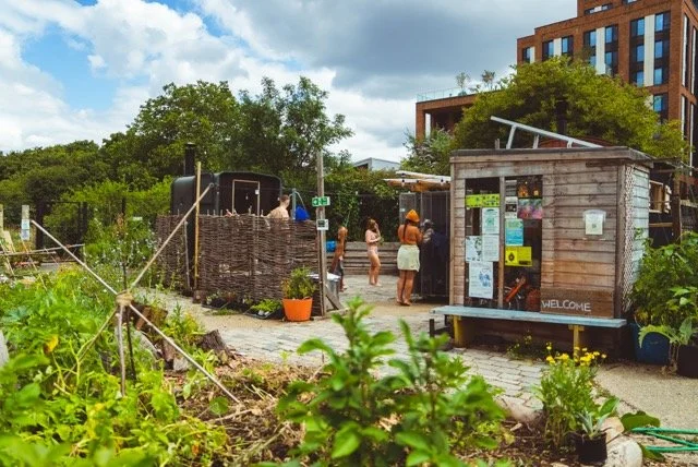 Urban community garden sauna surrounded by greenery and plants, with buildings and cloudy sky in the background.