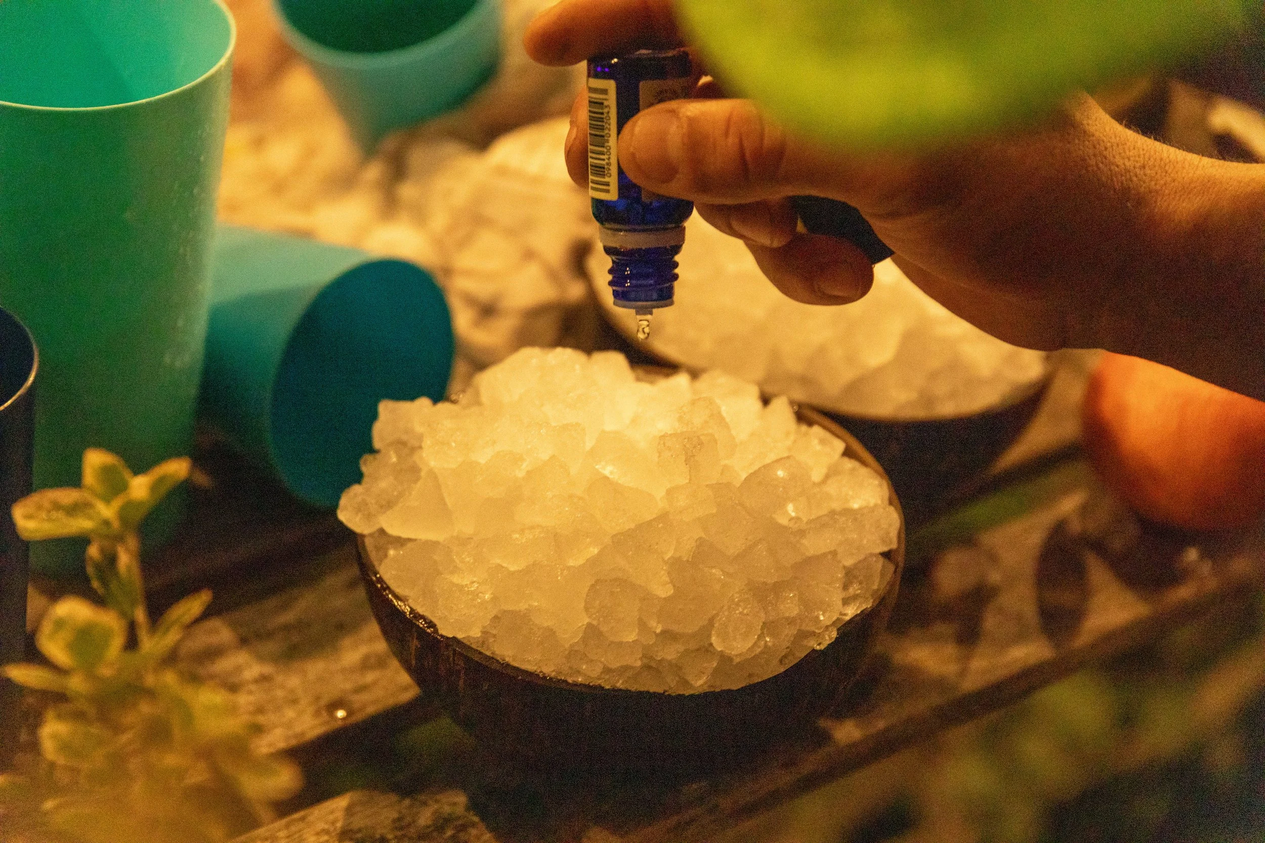 Close-up of a hand dripping essential oil onto a coconut bowl of crushed ice, ready for an Aufguss ice bomb