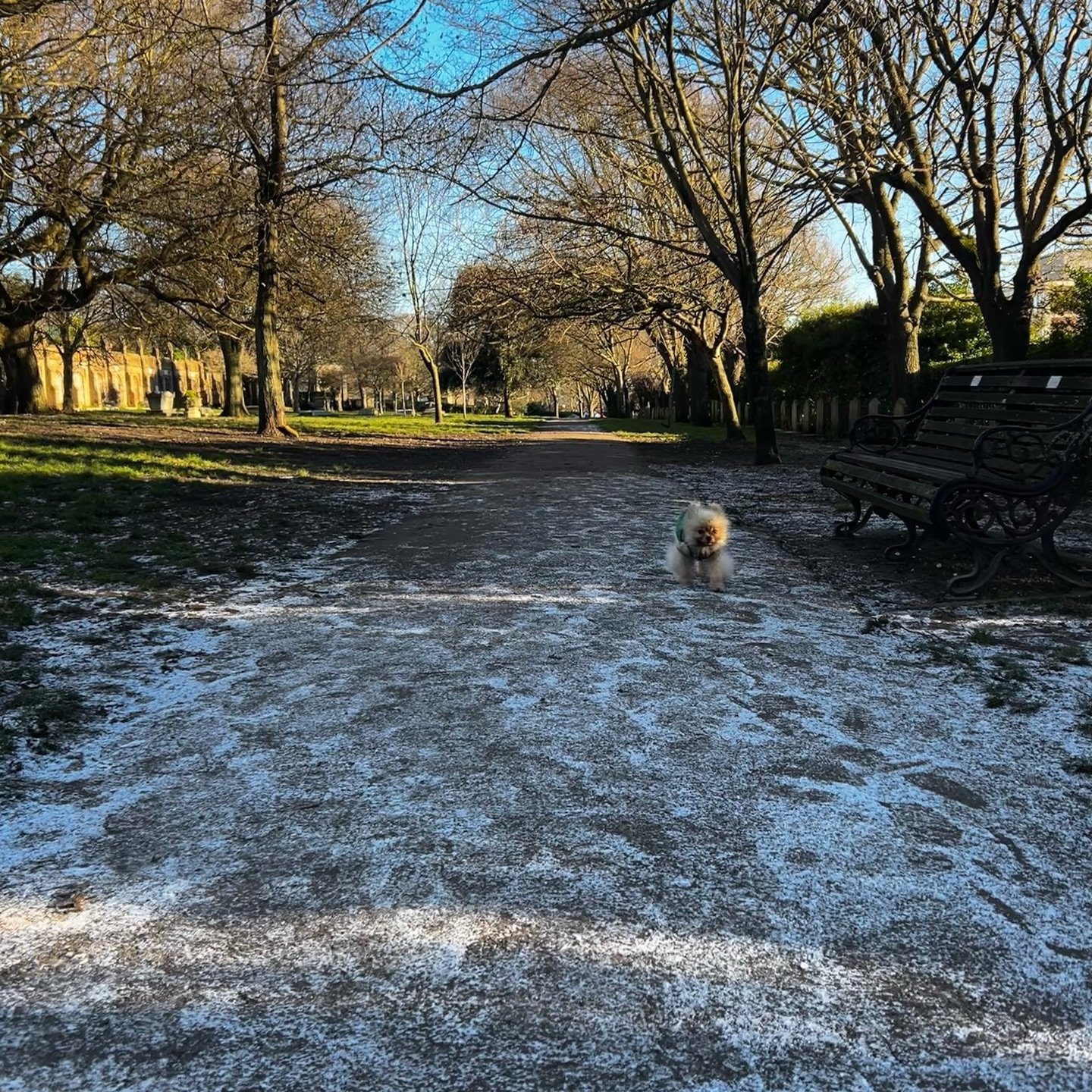 Week 1 of 2026 ⛅️
1. Pumpkin on a snowy walk 
2. My version of Mary Poppins bag 🧳
3. Freshly woven true check 
4. Freezing weather means layering for EVERYONE! 
5. Knitting away
6. My studio visitors 🐶
7. Productivity is key this year 
8. <<&