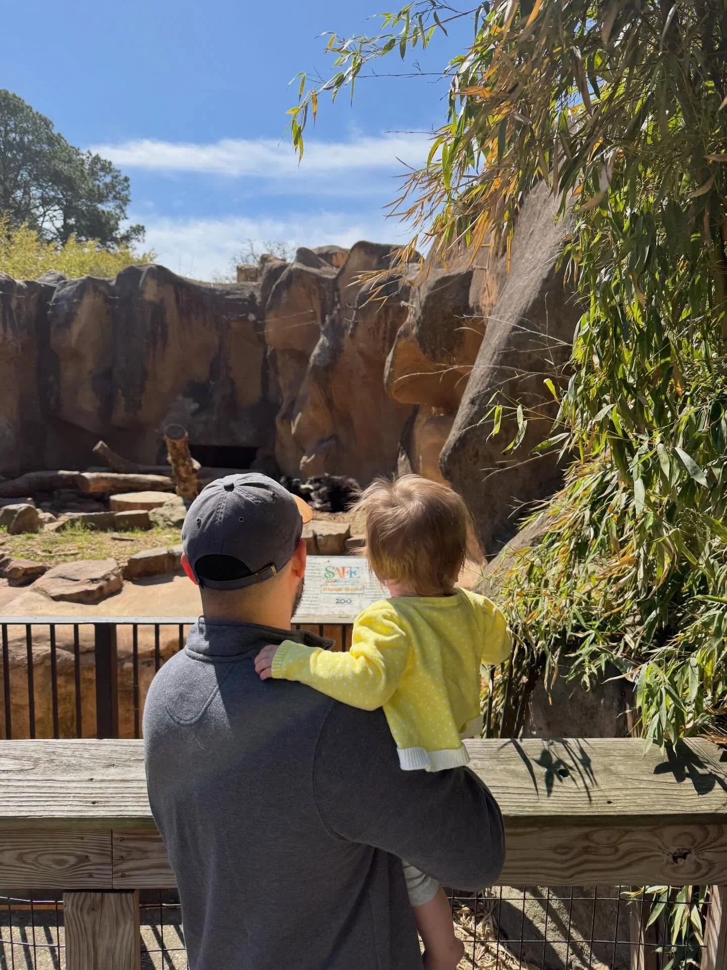 Ruby&rsquo;s first zoo day! 🥹🦓🌷🤎