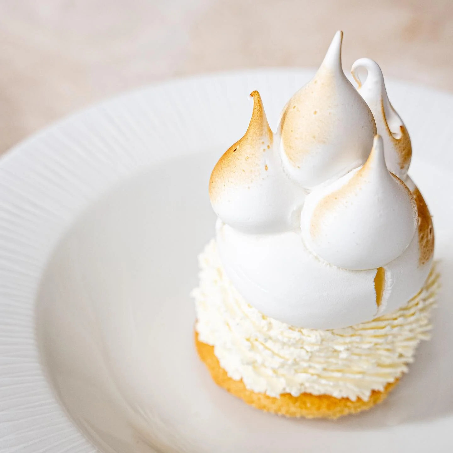 This sunshine is taking us right back to our Aussie roots and we&rsquo;re definitely here for it ☀️ Keeping dessert light, delicate and refreshing today 👌🏼
.
.
.
.
.
#TerraModerna #Dessert #Pudding #BelsizePark