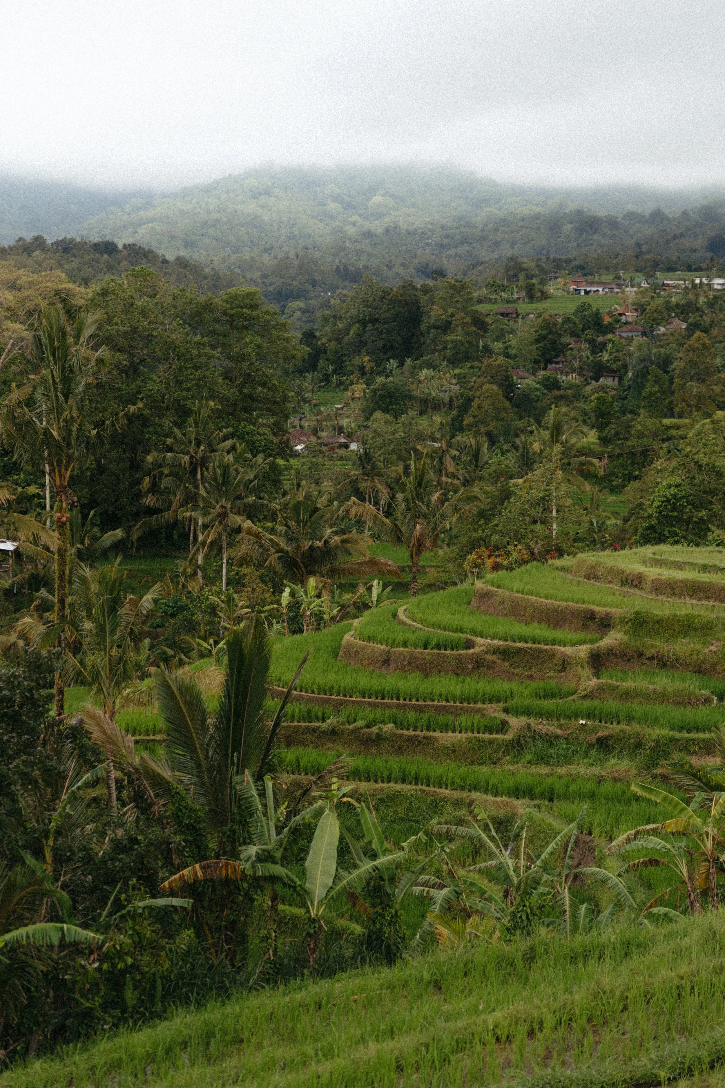Bali-retriit-LuisaGretaVilo-218.jpg