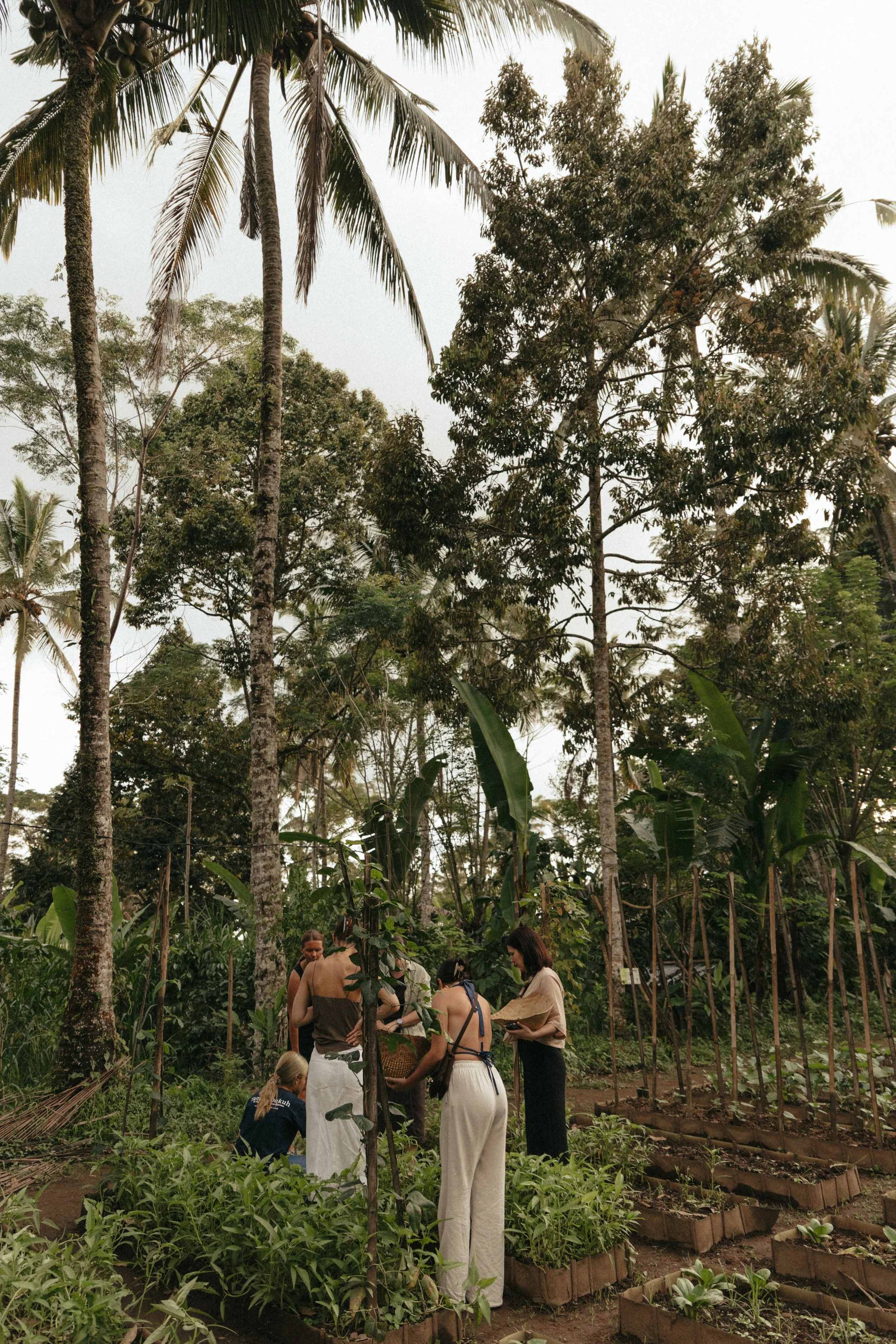 Bali-retriit-LuisaGretaVilo-167.jpg