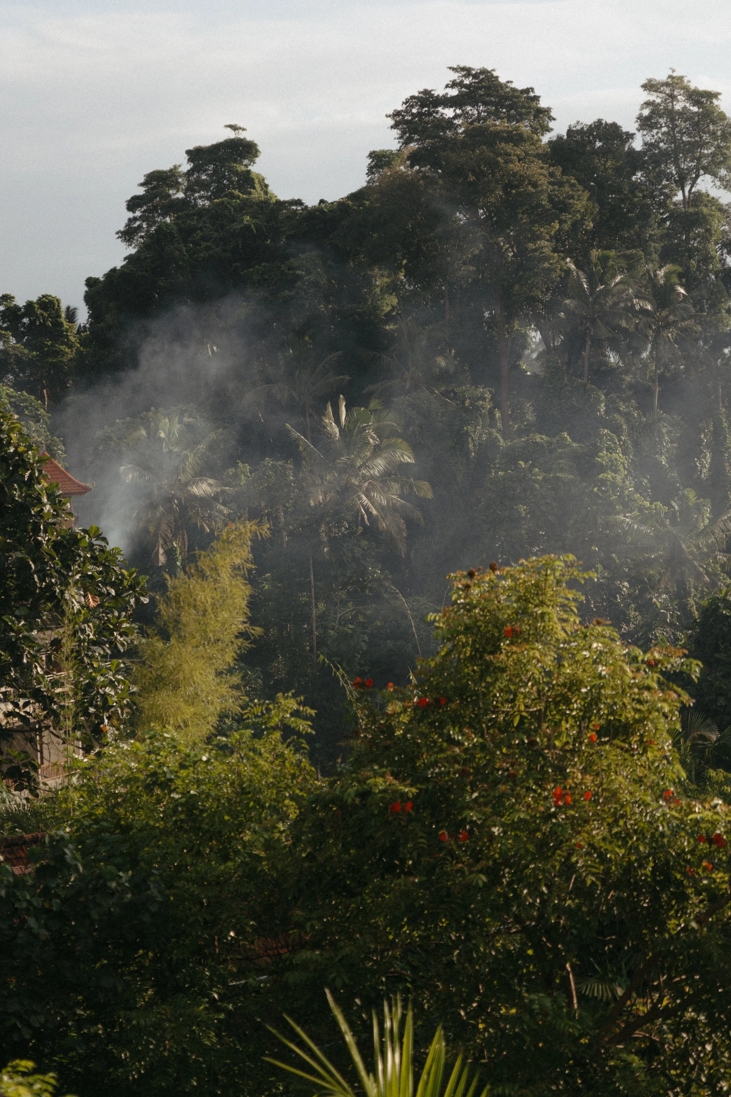 Bali-retriit-LuisaGretaVilo-134.jpg