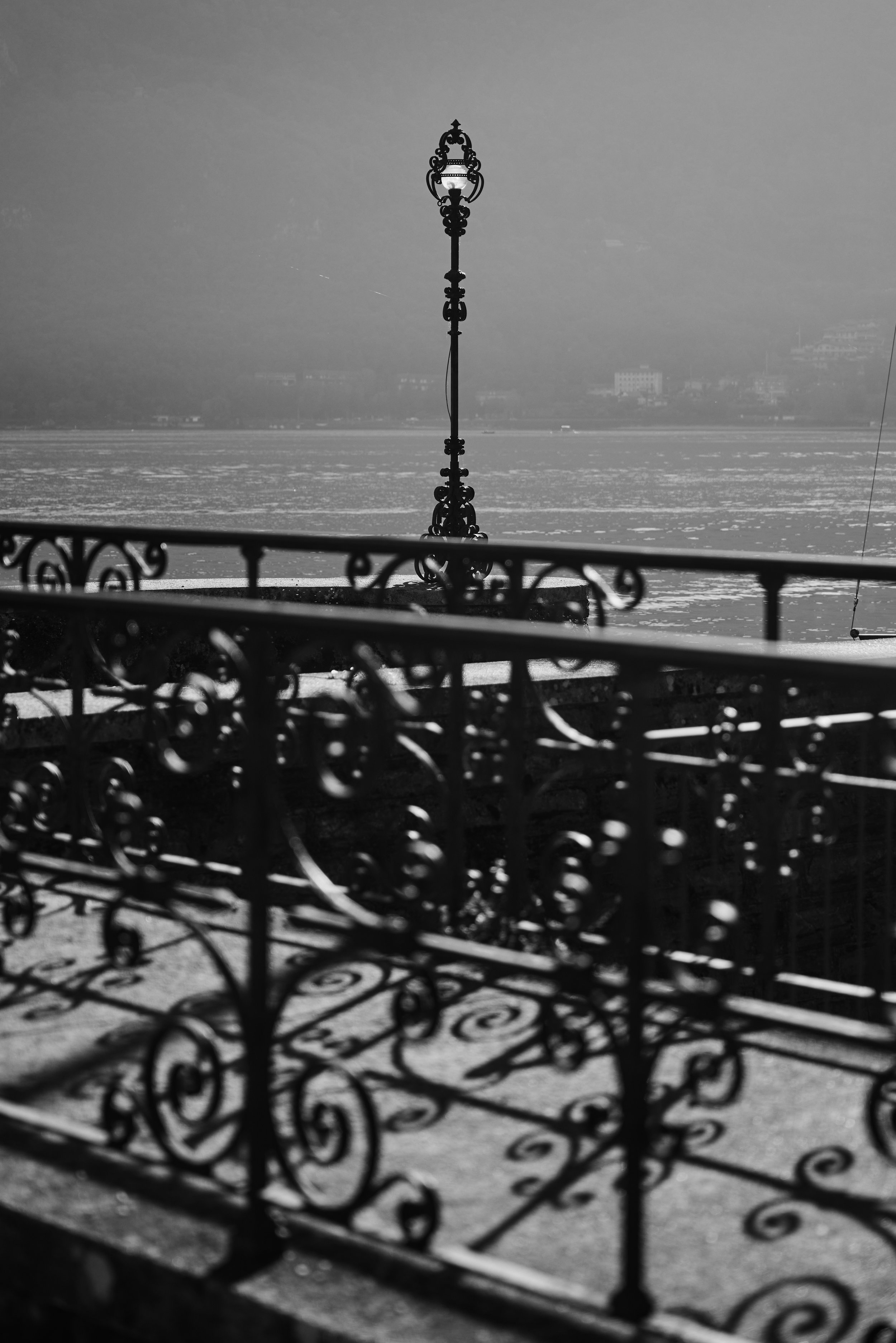 Schwarz-weiße Aufnahme eines verzierten Eisenzauns mit Blick auf einen See und eine Straßenlaterne in der Ferne.