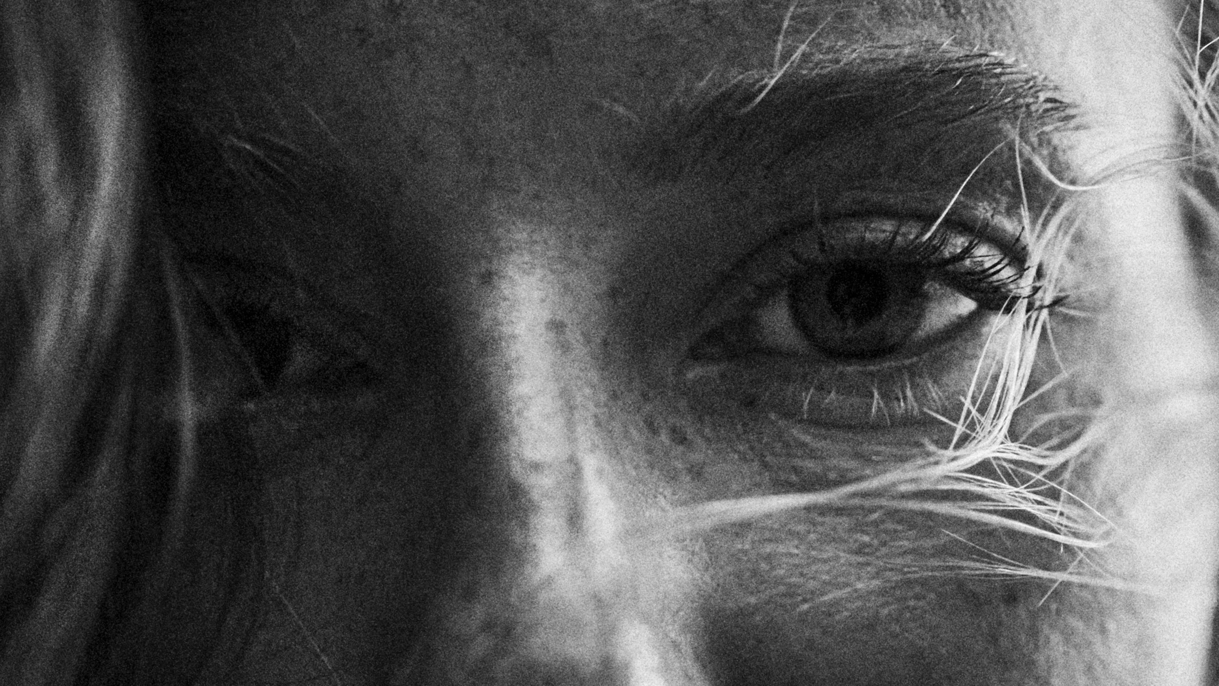 www-nicklaswalther-de-99.jpg