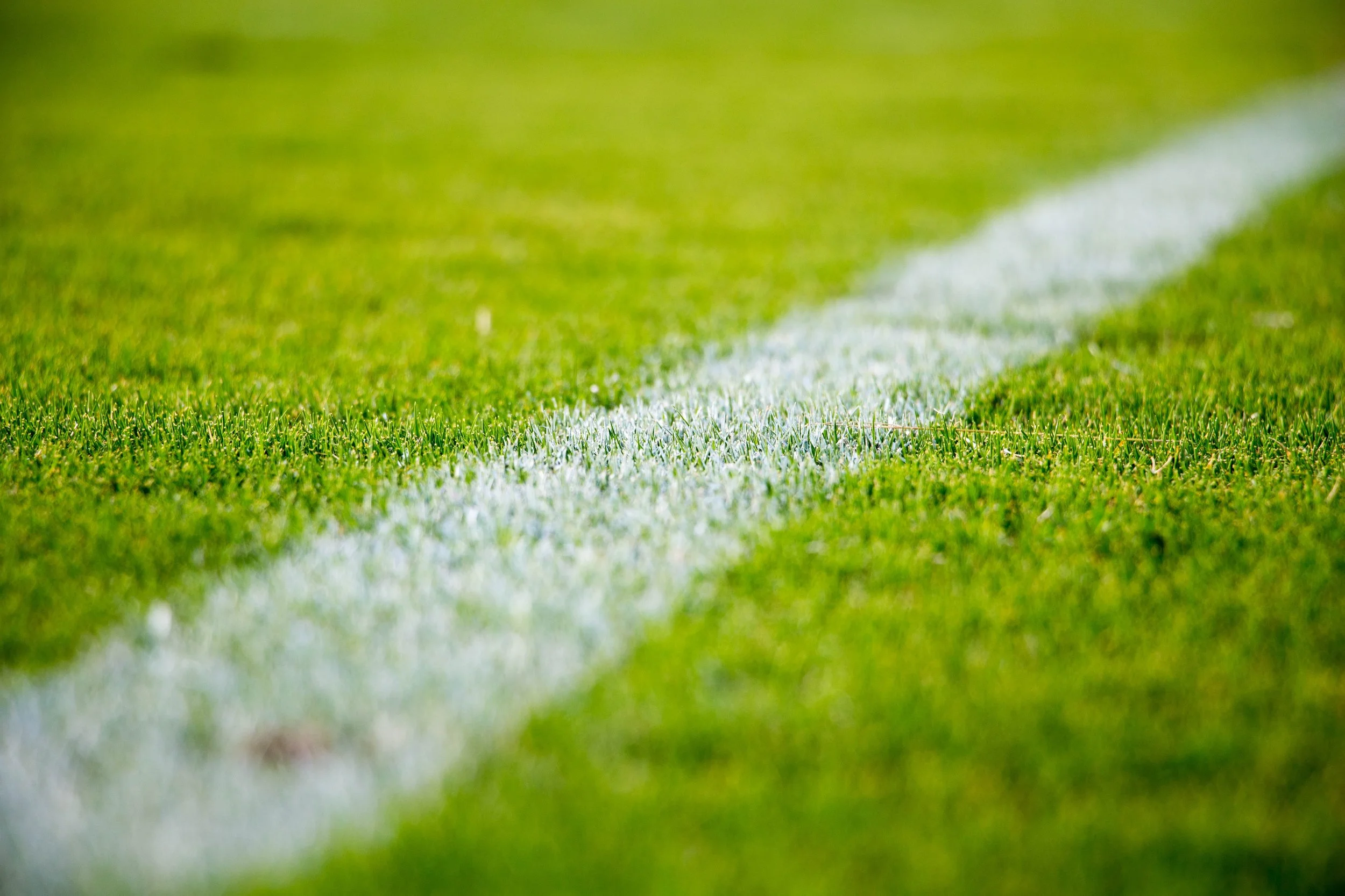 Close-up of a white painted line on a green grass football field.