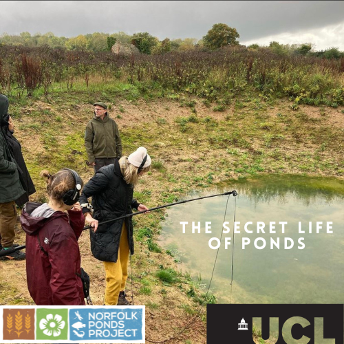 The Secret Life of Ponds