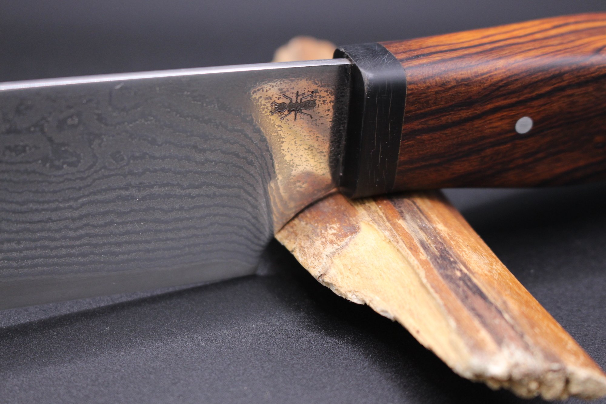 Kitchen Tanto_Pola Malandain6.JPG